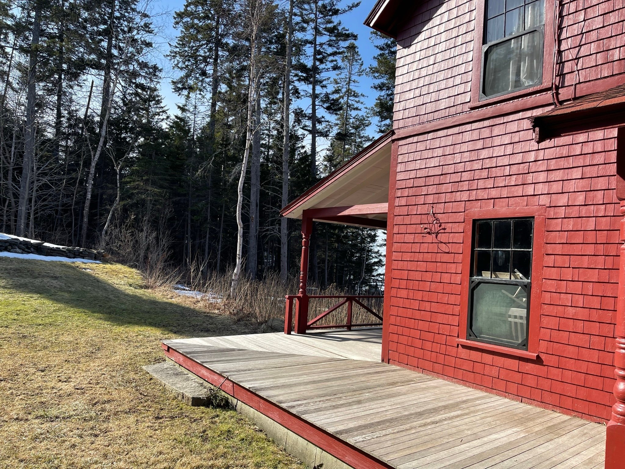 Birch Tree at the Cottage