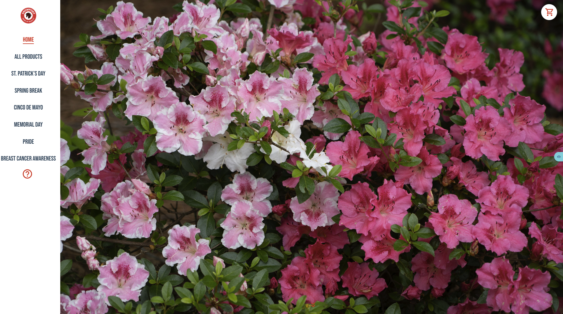 showpony-seasonal-shop-header